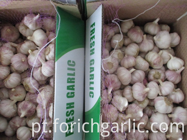 Fresh Jinxiang Normal White Garlic